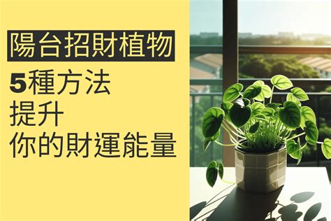 陽台種花招財|5種陽台招財植物提升你的財運能量